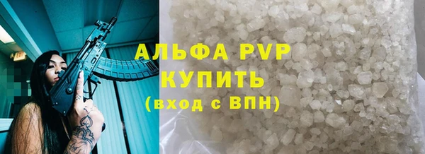 сатива Арсеньев
