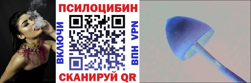 Псилоцибиновые грибы мухоморы  блэк спрут вход  Майкоп  даркнет официальный сайт  купить  